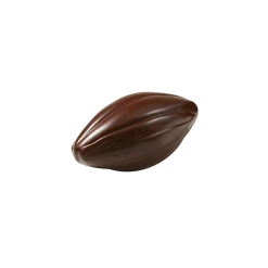 Moule Chocolat Grosse Cabosse 195 mm (x2) Barry